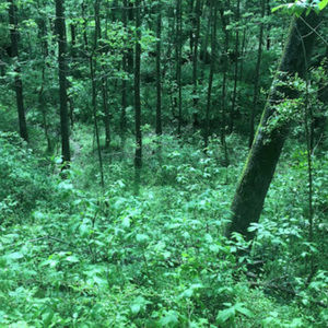 Meet your Posher, Joshua